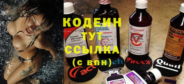 ешки Няндома