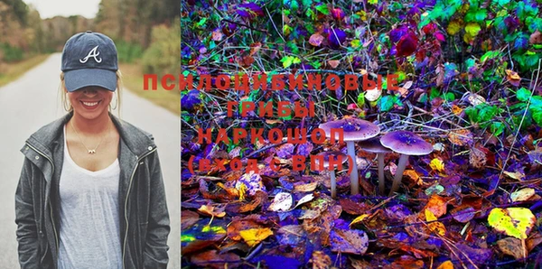 PSILOCYBIN Нязепетровск