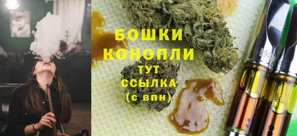 PSILOCYBIN Нязепетровск