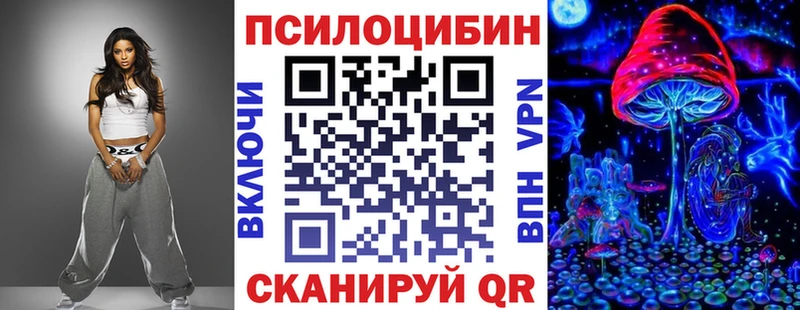 Псилоцибиновые грибы мицелий  Чекалин 